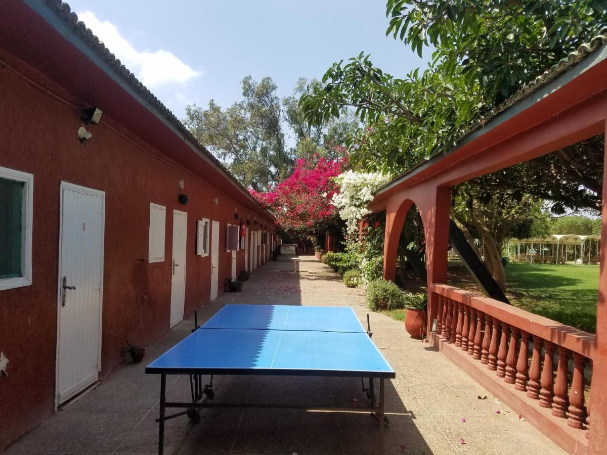 Ferme Hippique Chtouka Bed & Breakfast Dar Said Ben Hajj Exterior photo